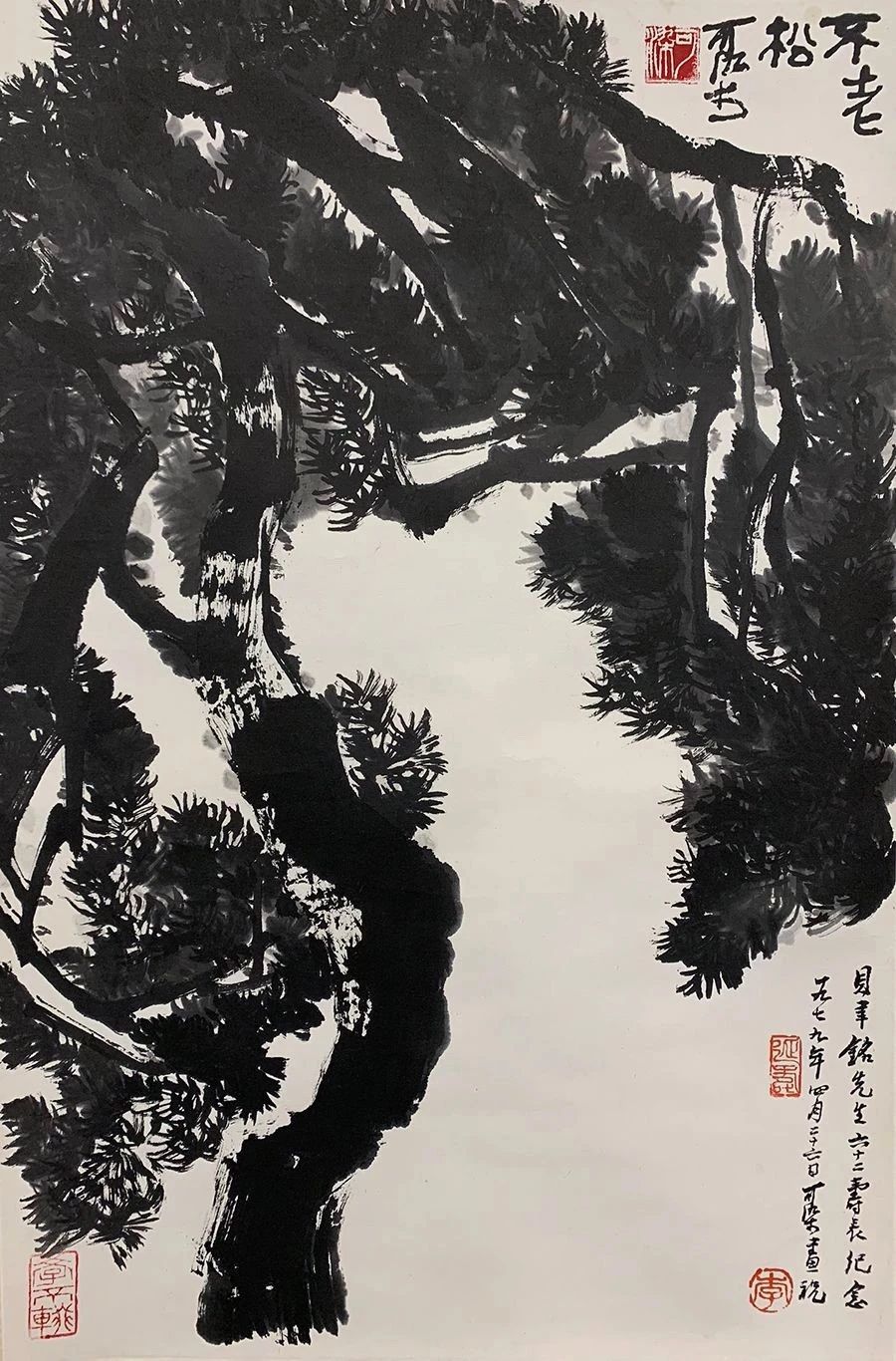 101249133836.jpg 微信图片_20250310124628.jpg
